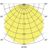 12453173