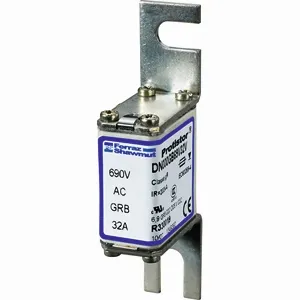MERSEN Deutschland Eggolsheim GmbH DN000GB69V63V Pic_1