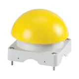 229754