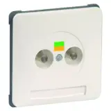 00427931
