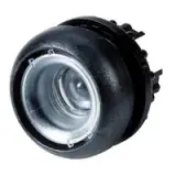 216604