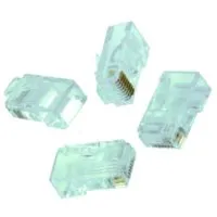 E+p T 53 LOSE Pic_1