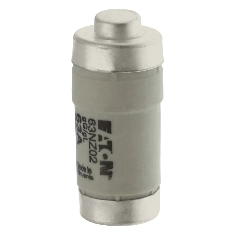 Eaton Electric FUSE-D02 63A T GL/GG 400VAC E18 Pic_2
