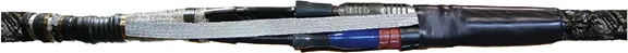 Cellpack CHMPPR3/17kV/70-240 Pic_2