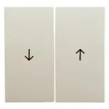 16258982
