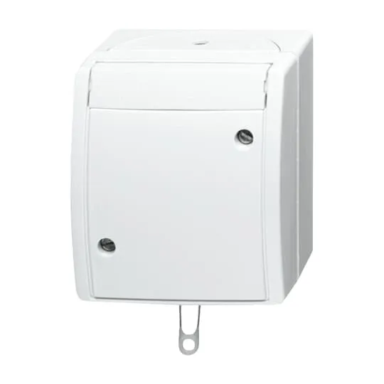 BUSCH-JAEGER ELEKTRO GMBH 2610/6 W-54 Pic_1