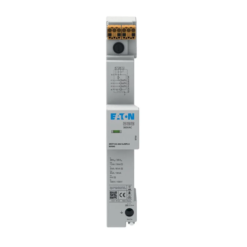 Eaton Electric SPZT123-300/3+NPE-S Pic_1
