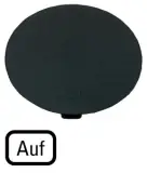 218273