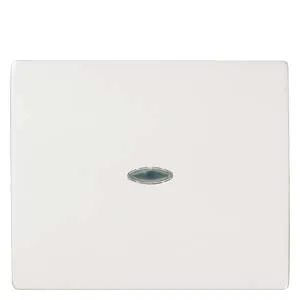 Siemens 5TG5530-1WH Pic_1