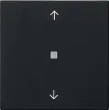5382005