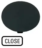 218285
