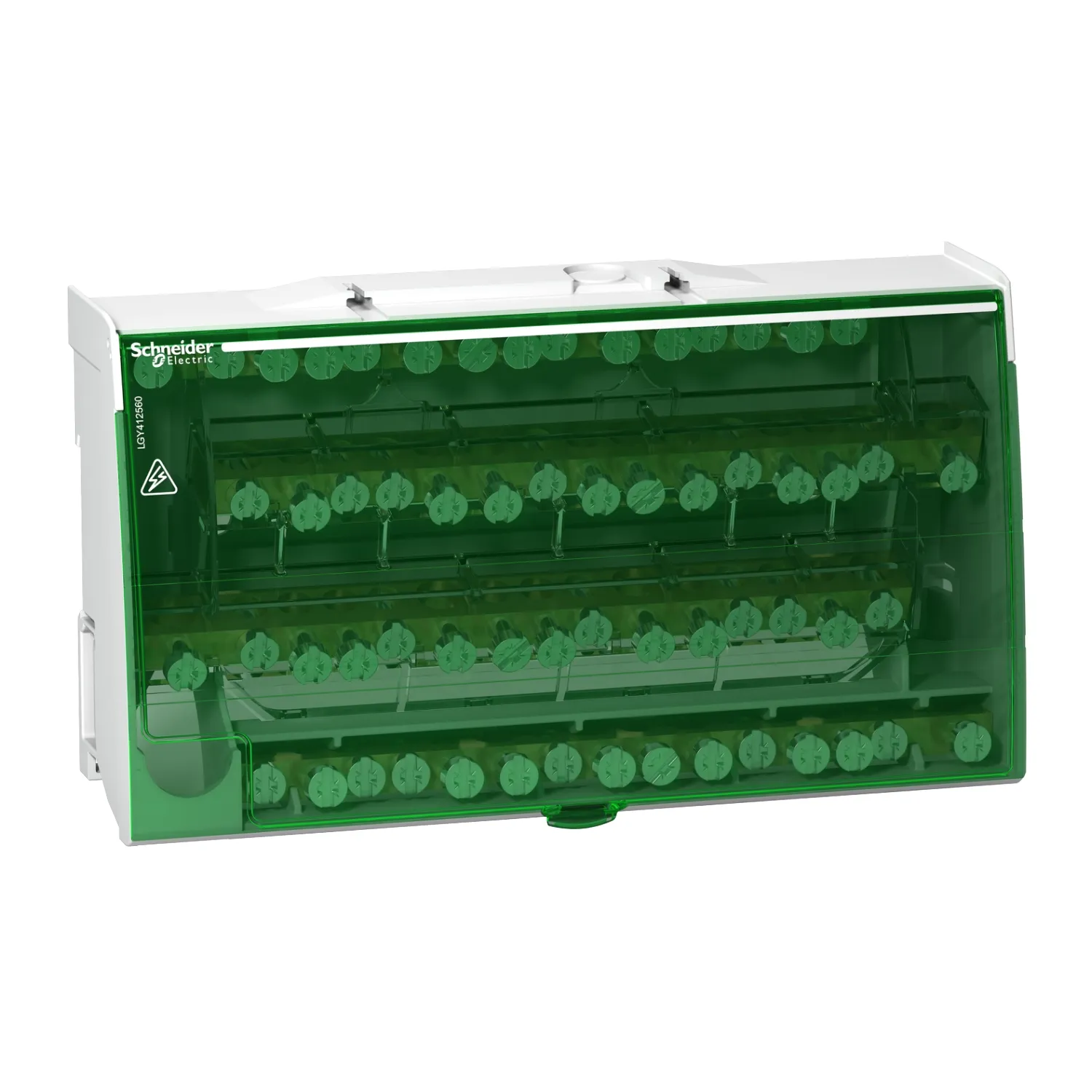 Schneider Electric LGY412560 Pic_1