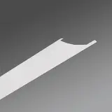 21660600181
