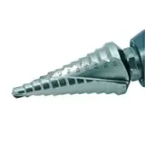 BIZ 700095