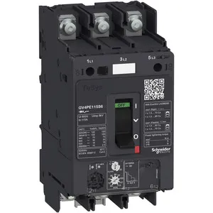 Schneider Electric GV4PE02N6 Pic_2