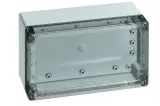 10150801