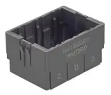 19410009981