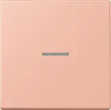 LC101KO5231
