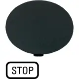 218282