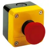 5024