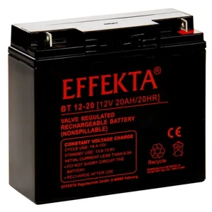Effekta BT 12-20 Pic_1