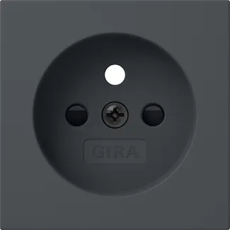 Gira 494528 Pic_1
