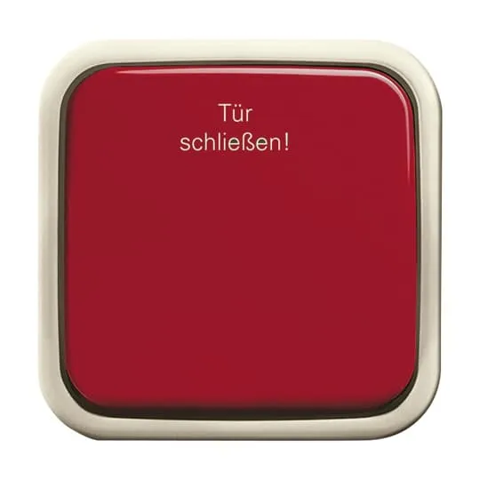 BUSCH-JAEGER ELEKTRO GMBH 2621 AP-107-101 Pic_1