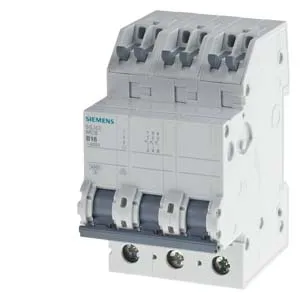 Siemens 5SJ6313-6KS Pic_1