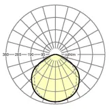 19107004020