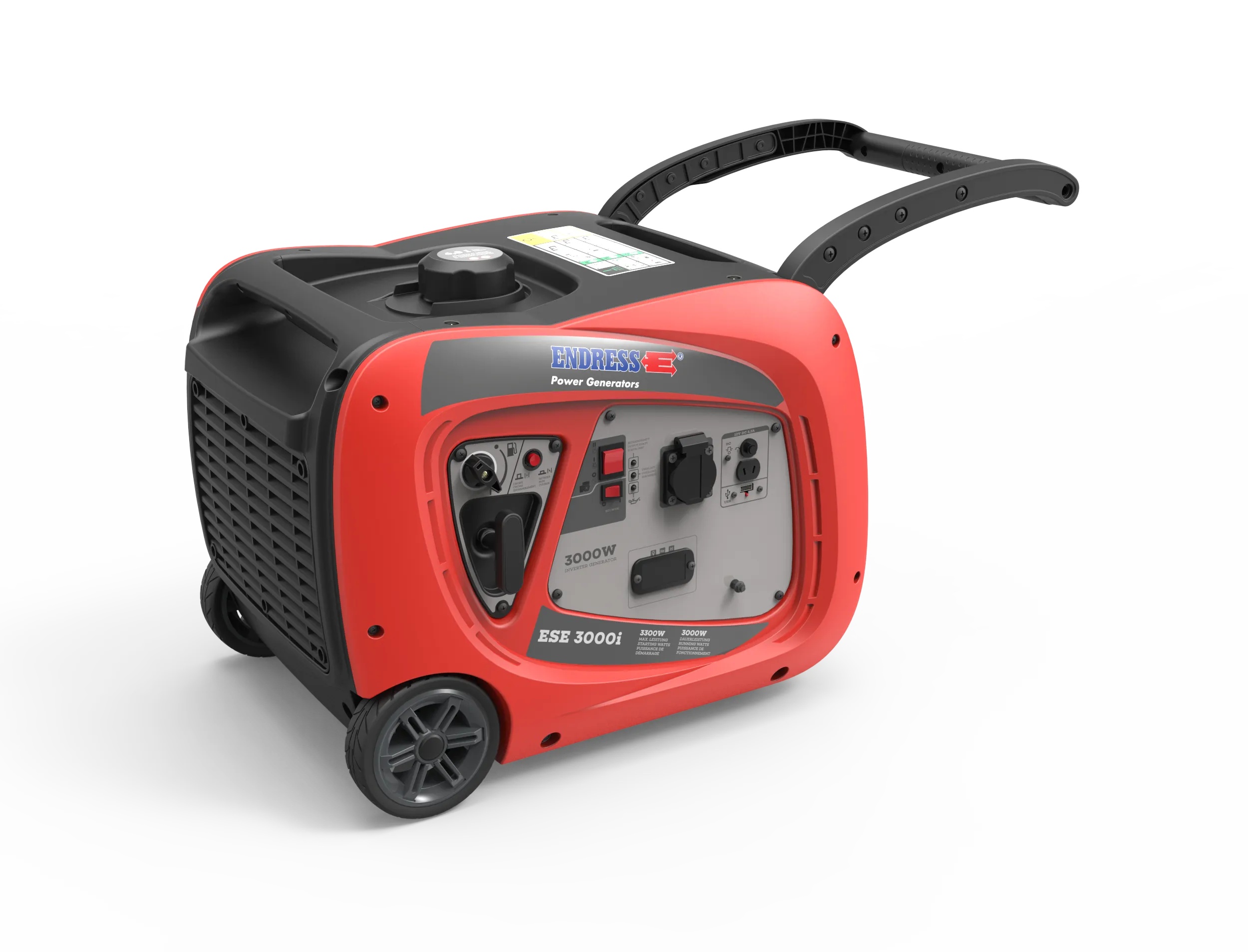 Endress ESE 3000i Pic_1