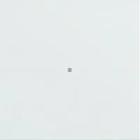 Berker 75161099 Pic_2