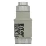 25NZ02R