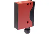 OR255800