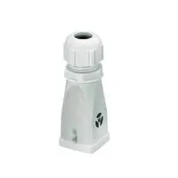 Wieland MIN GOT GB  7 M20 25 P5 Pic_1
