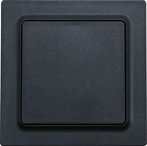 Eltako WT55E-am Pic_1
