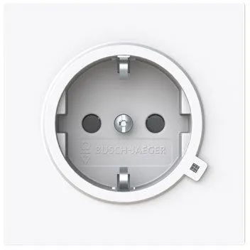 BUSCH-JAEGER ELEKTRO GMBH 20 EUCBL-44G Pic_1