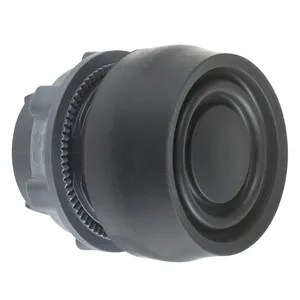 Schneider Electric ZB5AP2S Pic_1