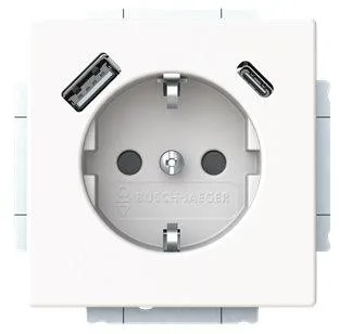 BUSCH-JAEGER ELEKTRO GMBH 20 EUCB2USBAC-884 Pic_1