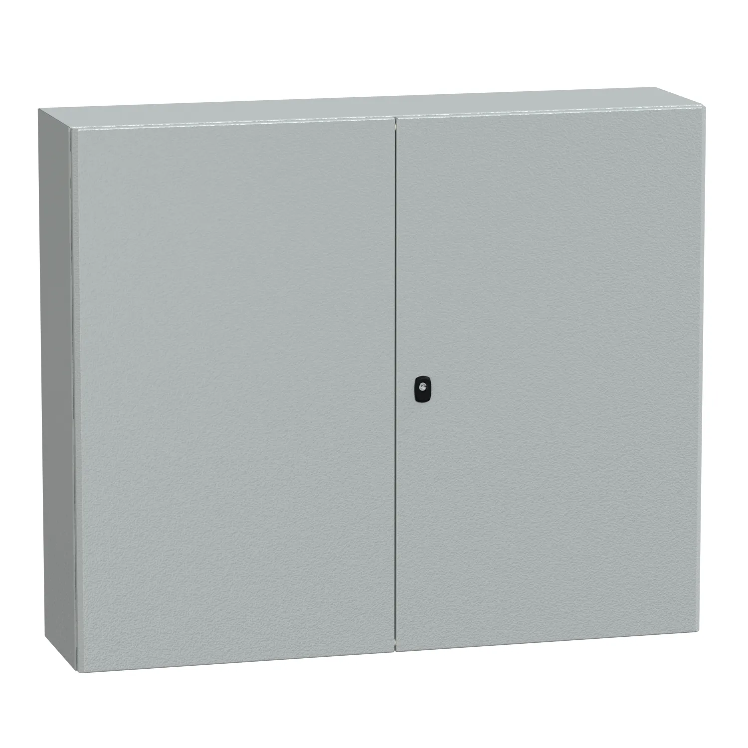 Schneider Electric NSYS3D101230DP Pic_1