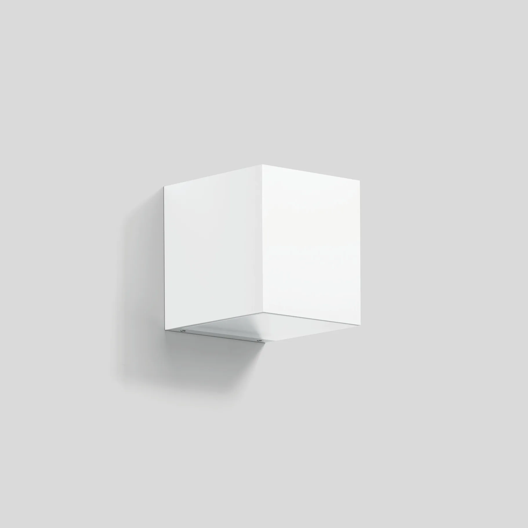 Bega 51413.1 Pic_1