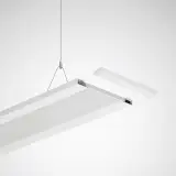 7018800