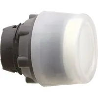 Schneider Electric ZB5AP18 Pic_2