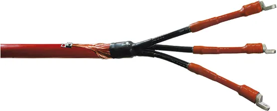 Cellpack CHESK-3I/A/36kV/16-95 Pic_2