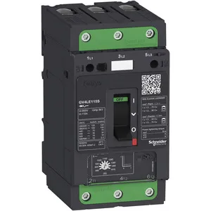 Schneider Electric GV4LE80N Pic_2