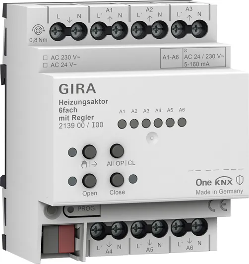 Gira 213900 Pic_1