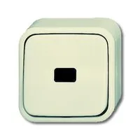 BUSCH-JAEGER ELEKTRO GMBH 2621 AP Pic_2