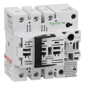 Schneider Electric GS1DD3 Pic_2