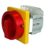 302498