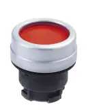101006461