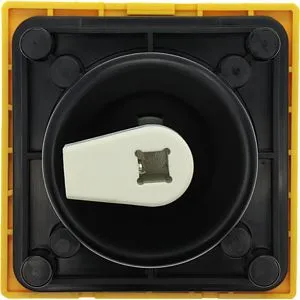 Eaton Electric P1-32/M4/SVB Pic_3